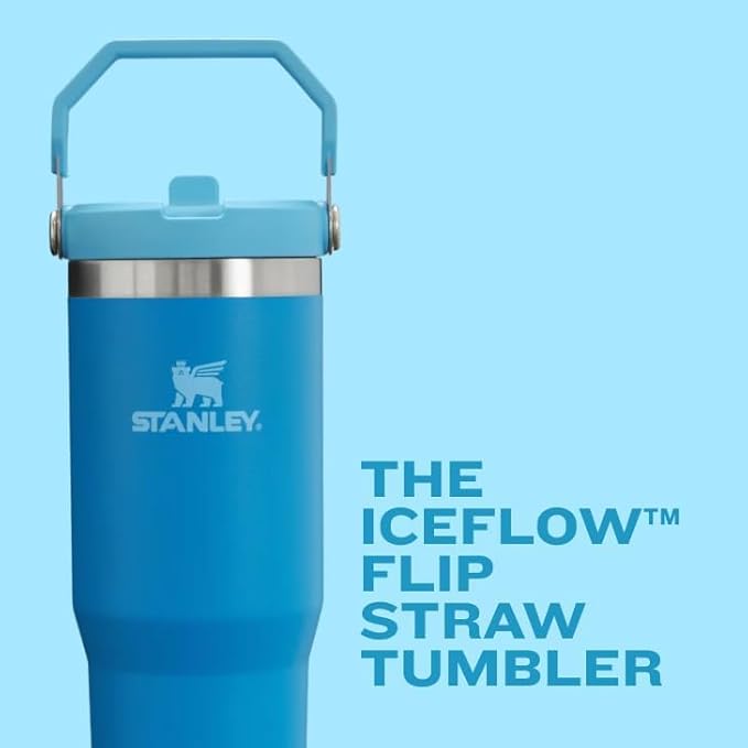 STANLEY IceFlow 2.0 Flip Straw Tumbler with Handle 20 oz | Twist On Lid and Flip Up Straw | Leak Resistant Water Bottle | Insulated Stainless Steel | BPA-Free | Lilac