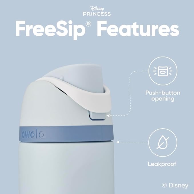 Owala Disney Princess FreeSip Insulated Stainless Steel Water Bottle with Straw for Sports and Travel, BPA-Free Sports Water Bottle, 24 oz, Cinderella
