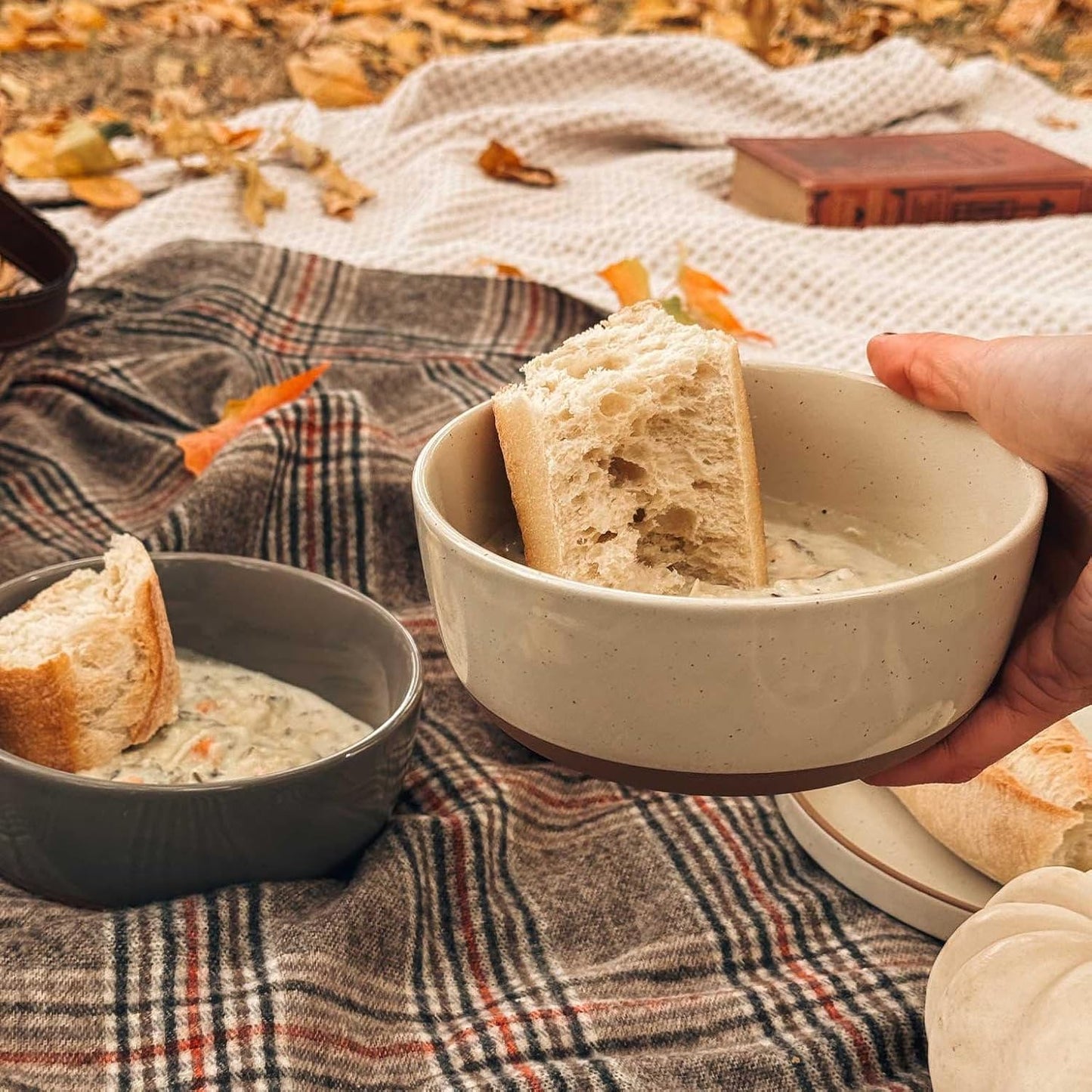 Set of 4 Porcelain Bowls, 25oz - Microwave, Dishwasher & Oven Safe for Soup, Cereal, etc.